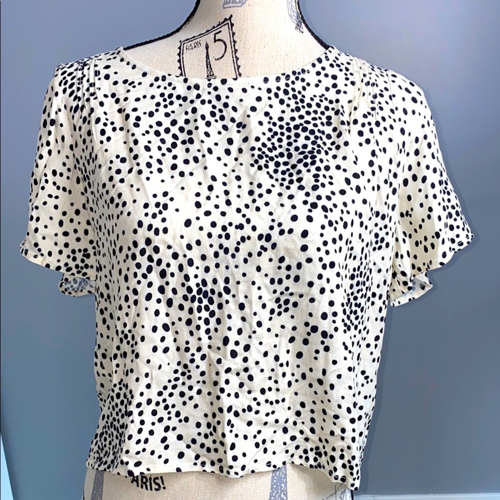 Saltwater Luxe Vanilla Short Sleeve Top